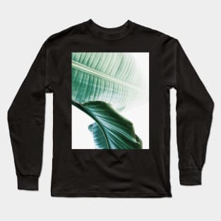 Banana leaves,Tropical leaves, Green leaves, Leaf, Modern art, Wall art, Print, Minimalistic, Modern, Scandinavian print Long Sleeve T-Shirt